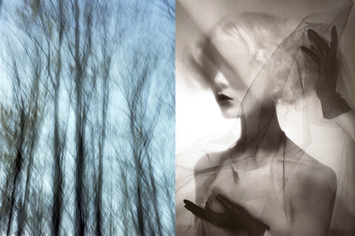 blurry Blue Trees and a black and white photo of Luciana Val and Franco Musso