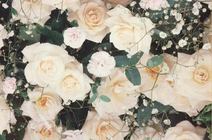 Inspiration friday image from tumblr of beautiful white and pale pink roses 