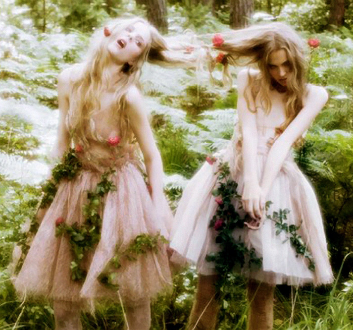 Inspiration friday images fairies in the forest