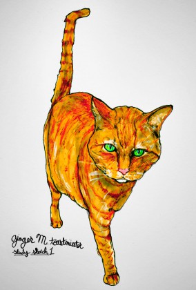 Artist Danny Roberts Concept sketchs for Ginger Marmalade Toast Miester of his cat milo