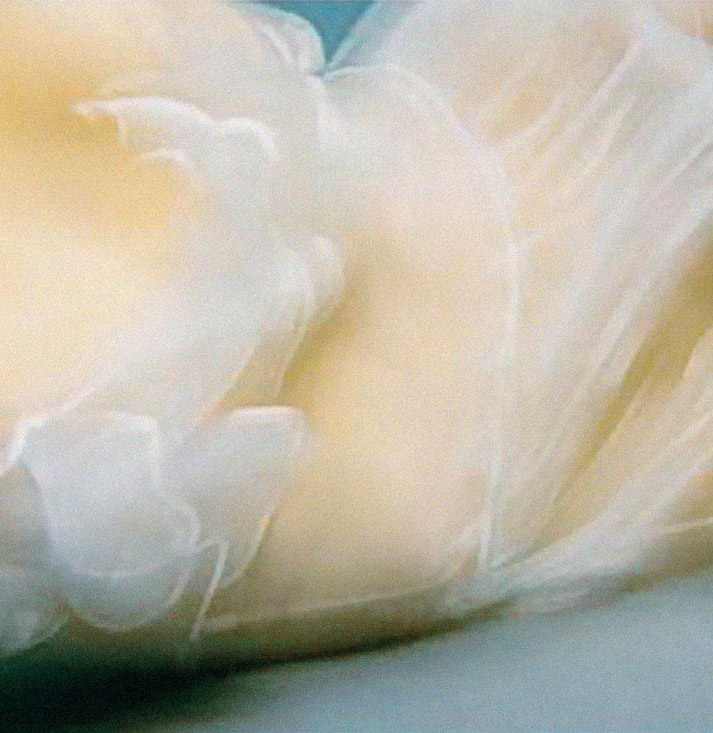 Beautiful dreamy under water photo by photographer Barbara Cole of a girl in white see through dress